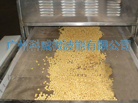 微波大豆烘烤設(shè)備