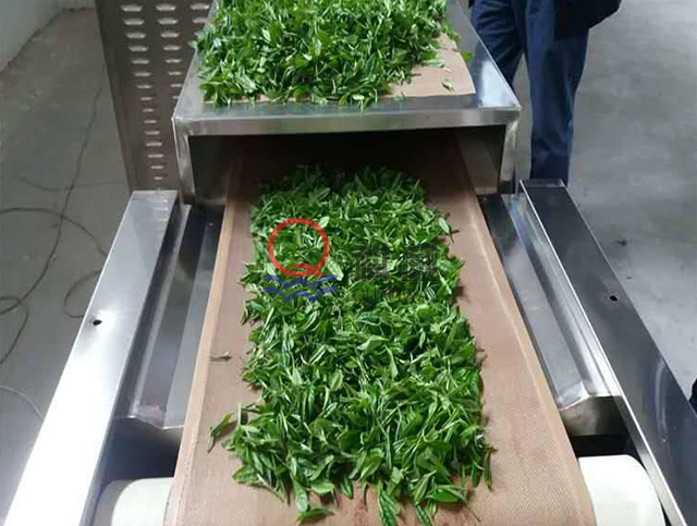 微波茶葉殺青機工作原理，茶葉微波殺青機優(yōu)缺點